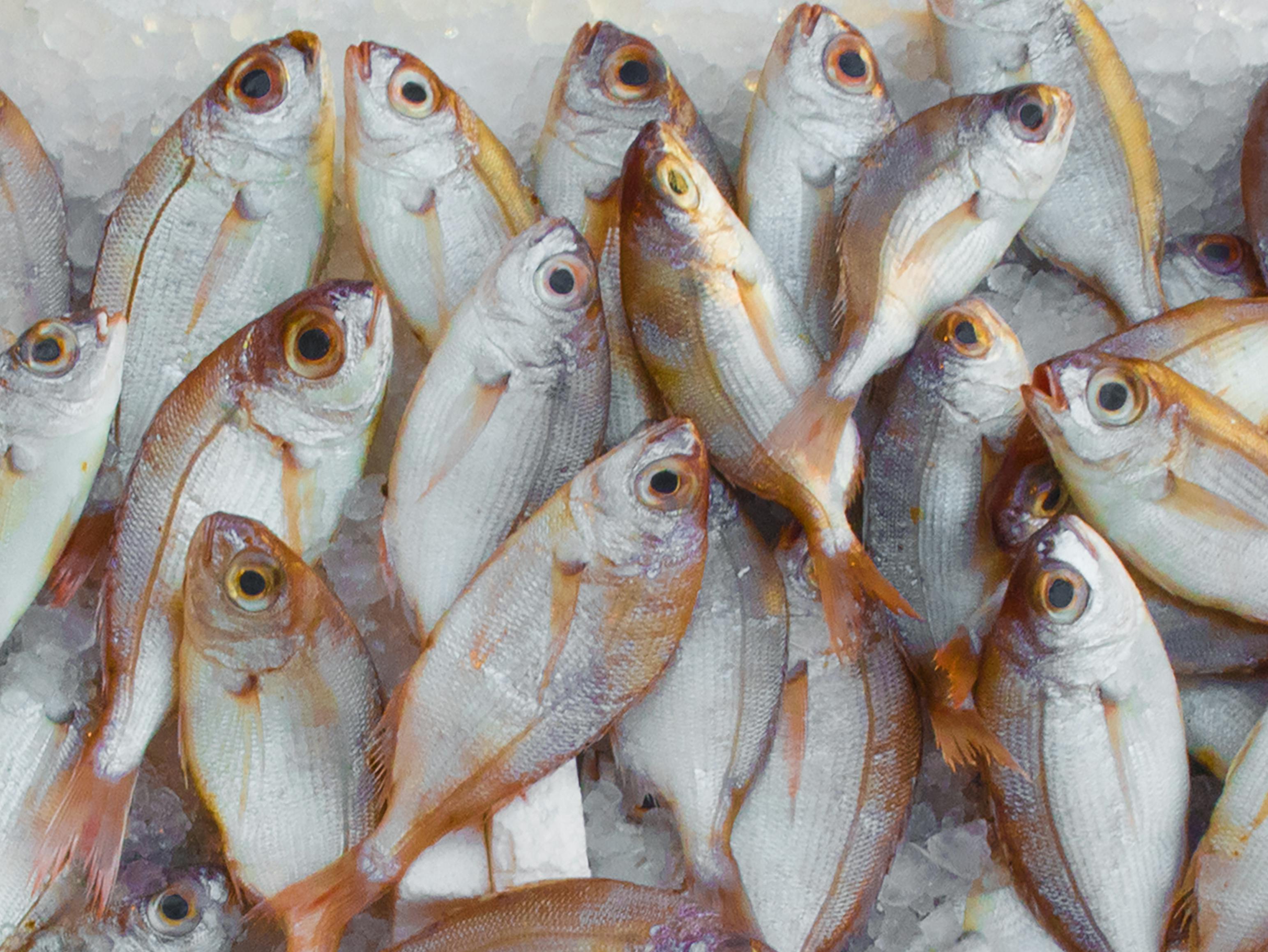 মাছ উপকারিতা ও অপকারিতা