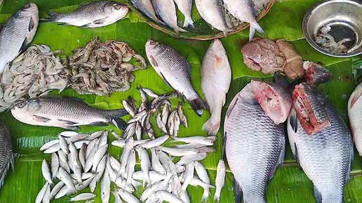 মিষ্টি না নোনতা, কোন জলের মাছে রয়েছে বেশি পুষ্টিগুণ ?